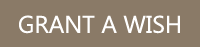Grant a Wish